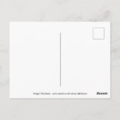 Groot-Brittannië Briefkaart (Achterkant)