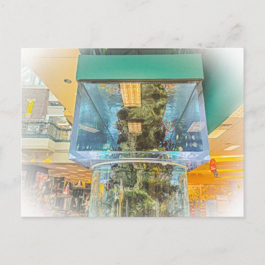 Groot cilindrisch aquarium briefkaart (Voorkant)
