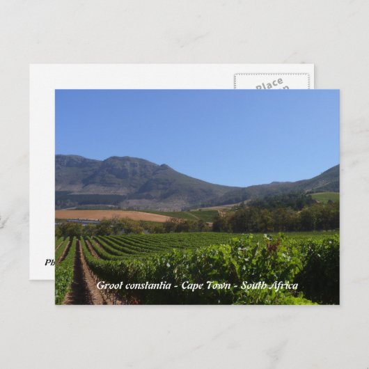 Groot Constantia - Kaapstad - Zuid-Afrika Briefkaart (Voorkant / Achterkant)