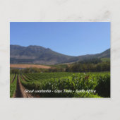 Groot Constantia - Kaapstad - Zuid-Afrika Briefkaart (Voorkant)