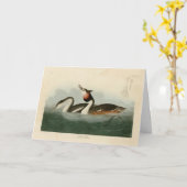 Groot-Crested Grebe - Amerikaanse vogels van Audub Kaart (Gele Bloem)