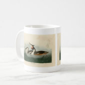 Groot-Crested Grebe - Amerikaanse vogels van Audub Koffiemok (Voorkant links)