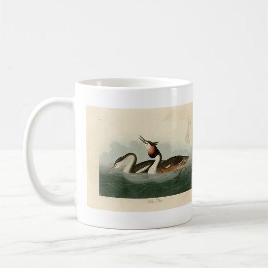 Groot-Crested Grebe - Amerikaanse vogels van Audub Koffiemok (Links)