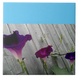 Groot, decoratief tegeltje