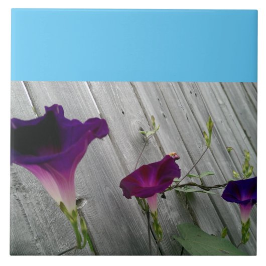 Groot, decoratief tegeltje (Voorkant)