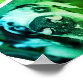 Groot Deen Kennel Promotie Poster (Hoek)