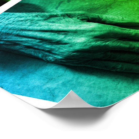 Groot Deen Kennel Promotie Poster (Hoek)