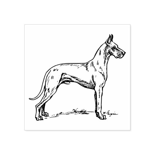 Groot Deens Hondenras Rubberstempel (Afrduk)