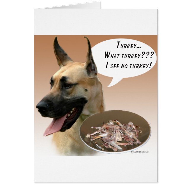 Groot-Deens Turkije (Voorkant)