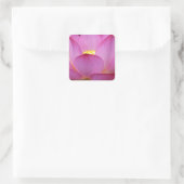 Groot donkerroze Lotus Bloem foto.jpg Vierkante Sticker (Tas)