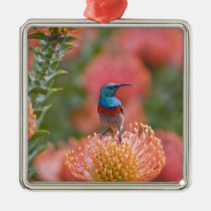 Groot Dubbelbandhoningzuiger Metalen Ornament