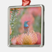 Groot Dubbelbandhoningzuiger Metalen Ornament (Links)