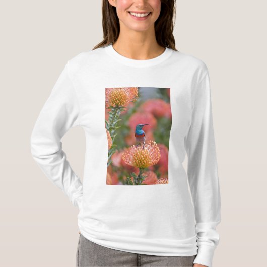 Groot Dubbelbandhoningzuiger T-shirt (Voorkant)
