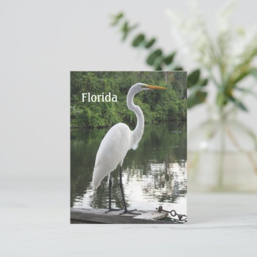 groot egret briefkaart (Staand voorkant)