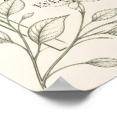 Groot formaat olijf botanische huwelijks zitplaats poster (Hoek)