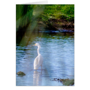 Groot gat in wetlands