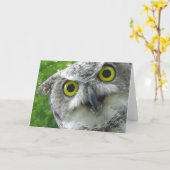Groot-gehoornde Uil Kaart (Gele Bloem)