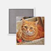 Groot gepersonaliseerd huisdier foto magneet (Voorkant / Achterkant)