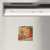 Groot gepersonaliseerd huisdier foto magneet (Insitu (Vaatwasser))