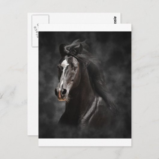 Groot, Gewaagd, en Trots Briefkaart (Voorkant / Achterkant)