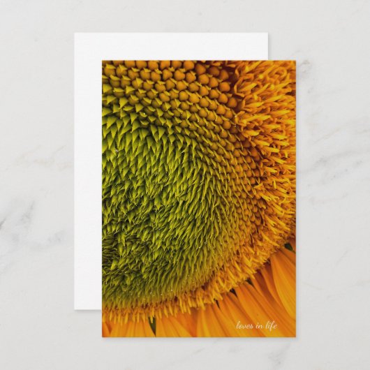 Groot groen centrum zonnebloem notitiekaartje (Voorkant / Achterkant)