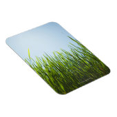 Groot groen gras tegen blauwe lucht met zon magneet (Rechterzijde)