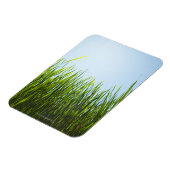 Groot groen gras tegen blauwe lucht met zon magneet (Linkerzijde)