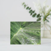 Groot groen verlof met briefkaart (Staand voorkant)