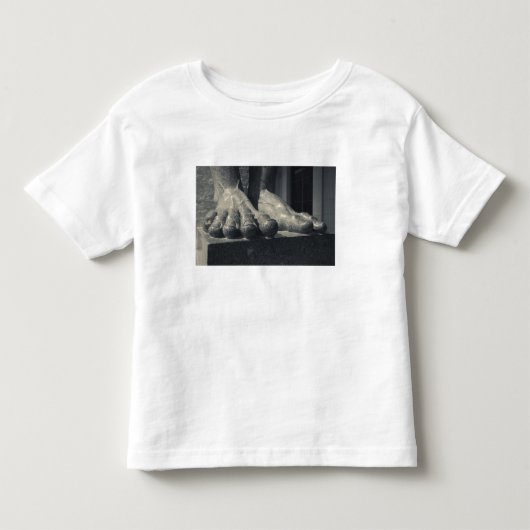 Groot Hermitage-gebouw, beeldhouwwerk voet Kinder Shirts (Voorkant)