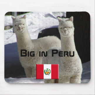 Groot in Peru Muismat