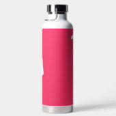 Groot Initiaal | Moderne typografie | Roze Waterfles (Rechts)