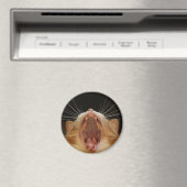 Groot Kat Gaaigoed, Slaapvrij Kat Magneet (Insitu (Vaatwasser))