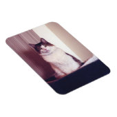 Groot Kat Magneet (Rechterzijde)
