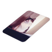 Groot Kat Magneet (Linkerzijde)