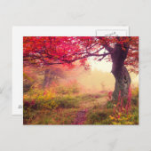 groot landschap met herfstbomen in het bos briefkaart (Voorkant / Achterkant)