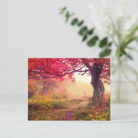 groot landschap met herfstbomen in het bos briefkaart (Staand voorkant)
