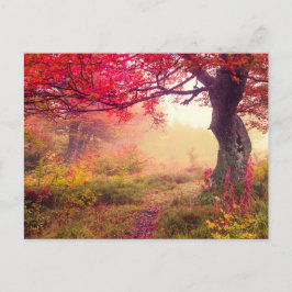 groot landschap met herfstbomen in het bos briefkaart