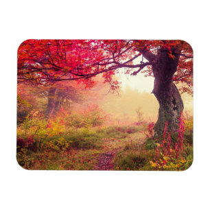 groot landschap met herfstbomen in het bos magneet