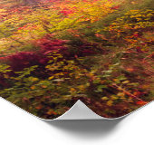 groot landschap met herfstbomen in het bos poster (Hoek)