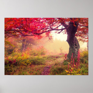 groot landschap met herfstbomen in het bos poster