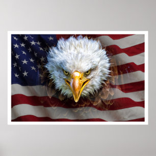 Groot machtig Amerikaans Eagle FLAG-Poster Poster