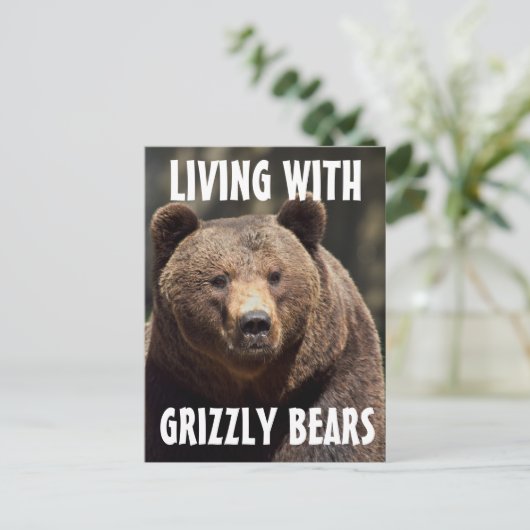 GROOT MAN DAT MET BEREN BRIEFKAARTEN LEVEN (Staand voorkant)