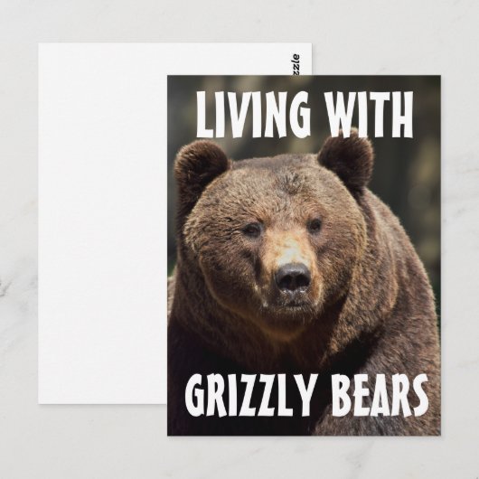 GROOT MAN DAT MET BEREN BRIEFKAARTEN LEVEN (Voorkant / Achterkant)