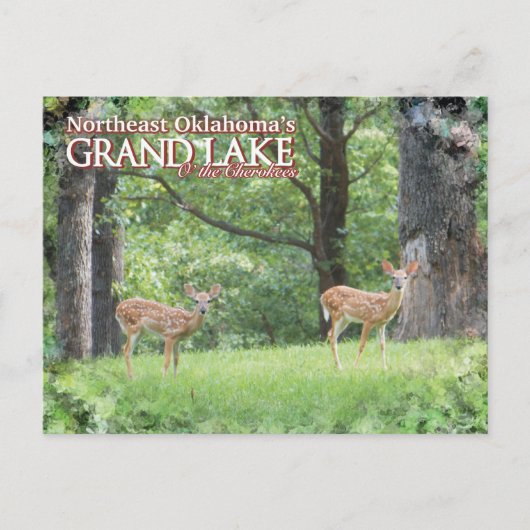 Groot meer Oklahoma ansichtkaart hert Briefkaart (Voorkant)