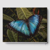 Groot, mooi, blauw, vlinder gastenboek (Achterkant)