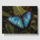 Groot, mooi, blauw, vlinder gastenboek (Voorkant)