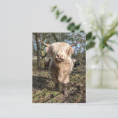 Groot om Schots te worden Briefkaart (Staand voorkant)