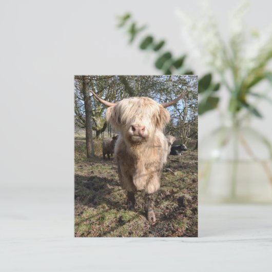 Groot om Schots te worden Briefkaart (Staand voorkant)