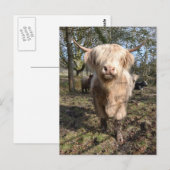 Groot om Schots te worden Briefkaart (Voorkant / Achterkant)