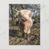 Groot om Schots te worden Briefkaart (Voorkant)